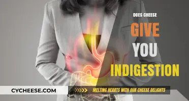 Does Cheese Cause Indigestion? Unraveling the Dairy Digestive Dilemma