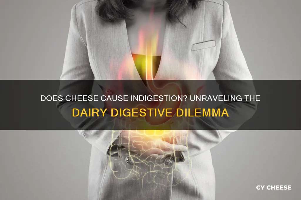 does cheese give you indigestion