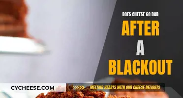 Cheese Safety: Blackout Power Outages and Food Spoilage