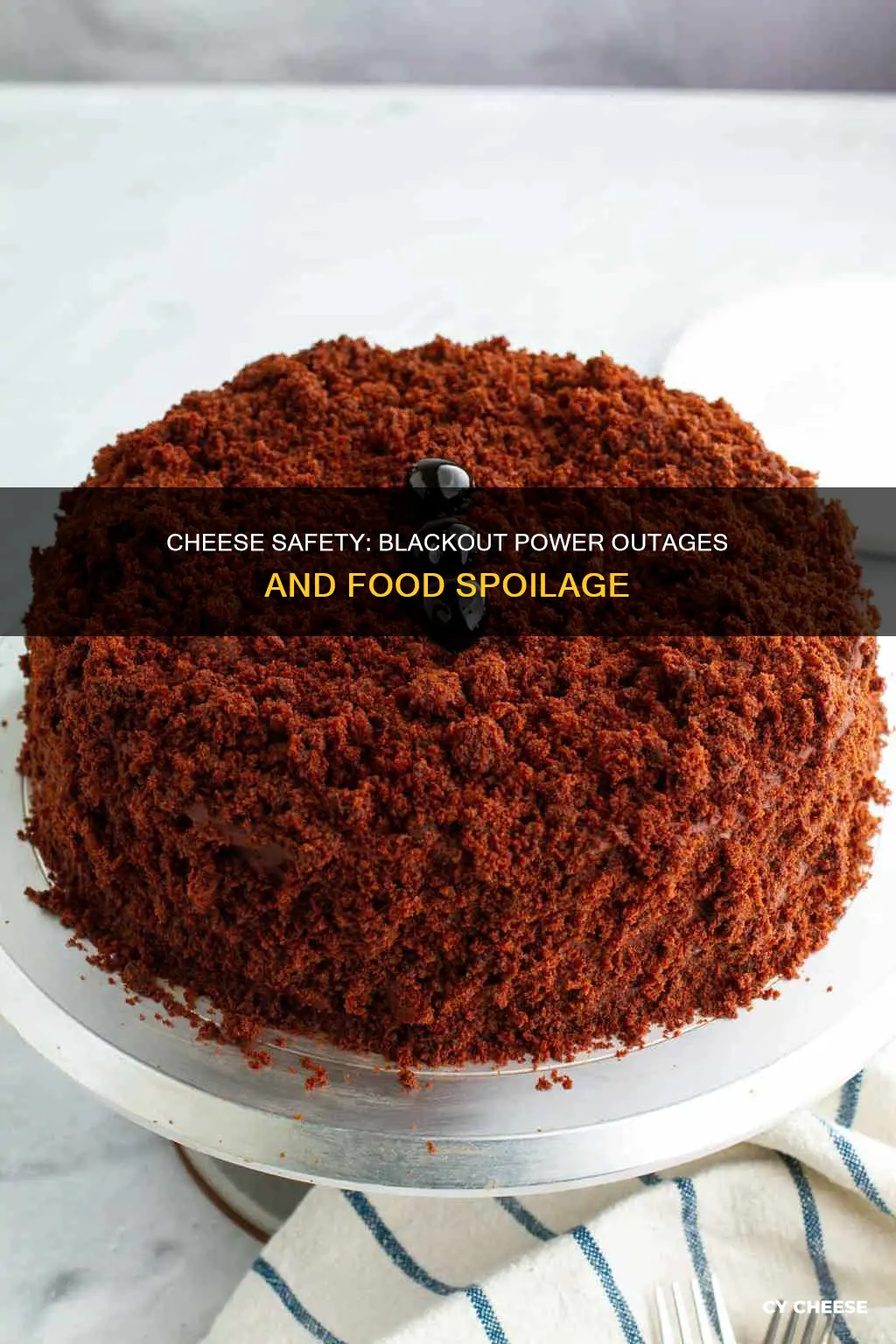 does cheese go bad after a blackout