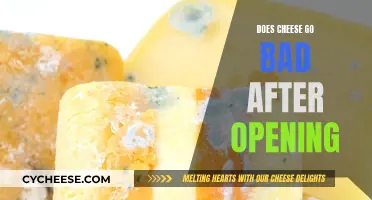 Cheese Expiry: What Happens After Opening the Package?