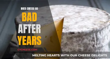 Cheese Longevity: Does Cheese Expire After Years?