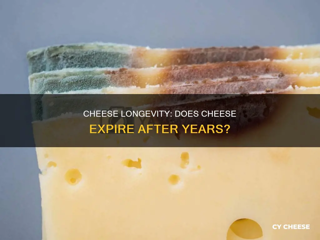 does cheese go bad after years