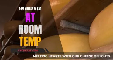 Cheese Storage: Room Temperature Safety and Spoilage
