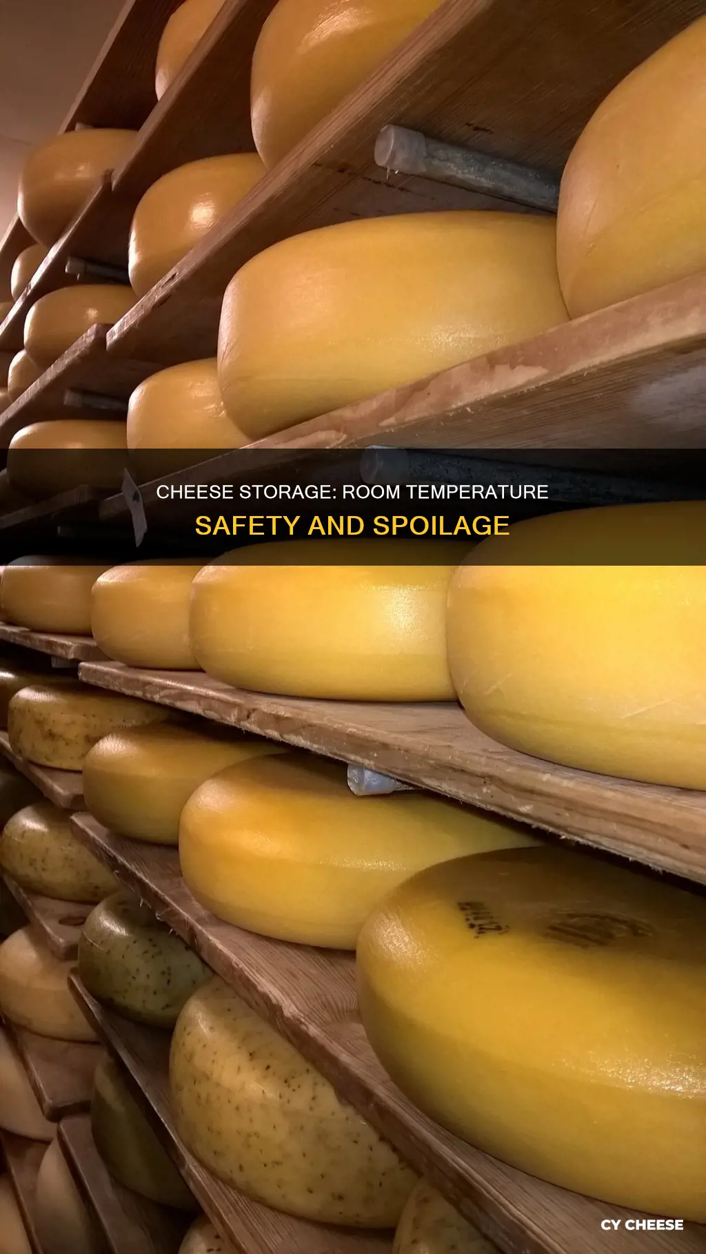 does cheese go bad at room temp