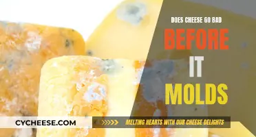 Cheese and Mold: What's the Deal?