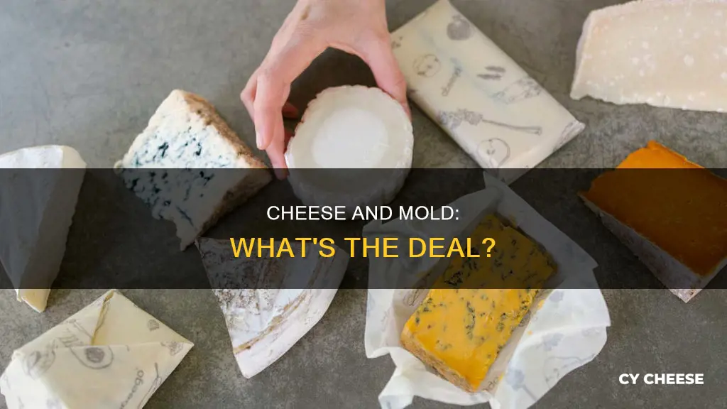 does cheese go bad before it molds
