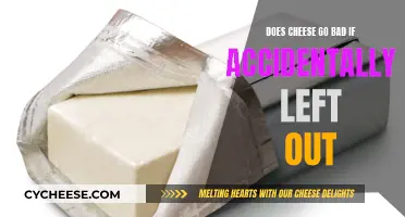 Cheese Left Out: What's the Shelf Life?