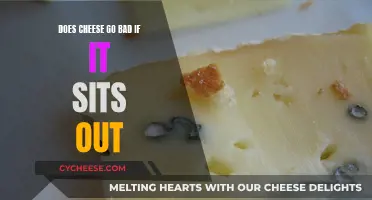 Cheese Left Out: Safe or Not?