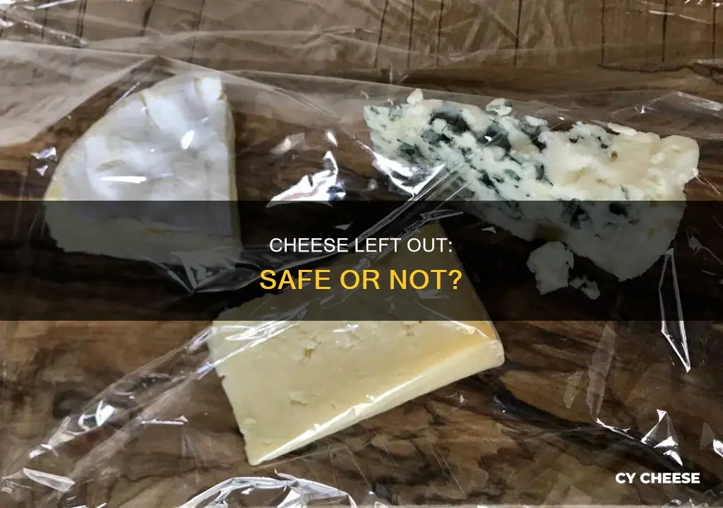 does cheese go bad if it sits out