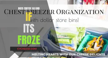 Freezing Cheese: Does It Stop It From Going Bad?