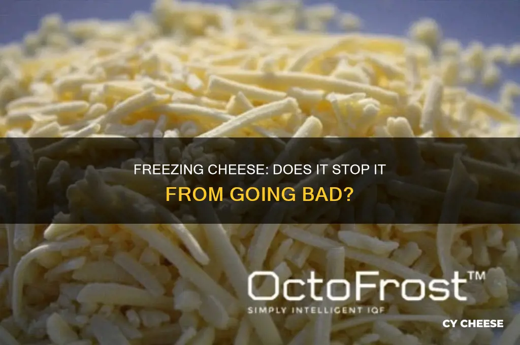 does cheese go bad if its froze