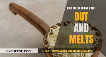 Cheese Left Out: Melting and Going Bad?