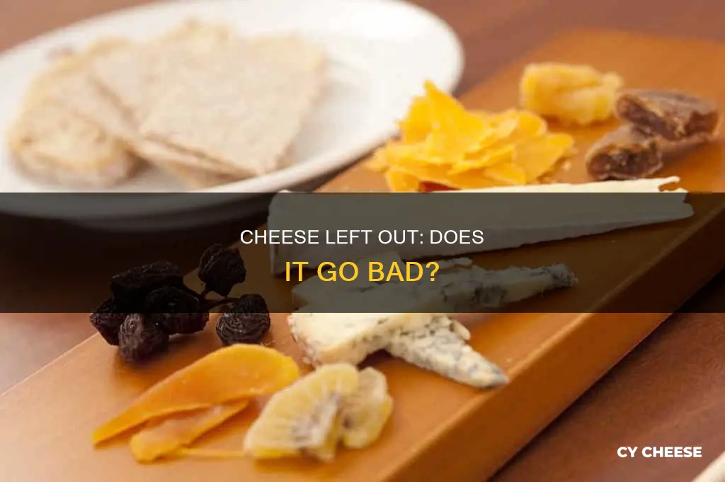 does cheese go bad if left out of the fridge