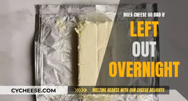 Cheese Left Out Overnight: Safe or Not?