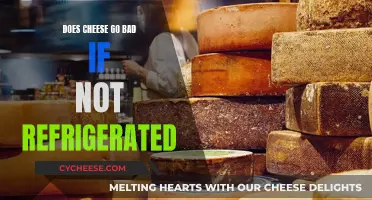 Cheese Storage: Refrigeration and Shelf Life Explained