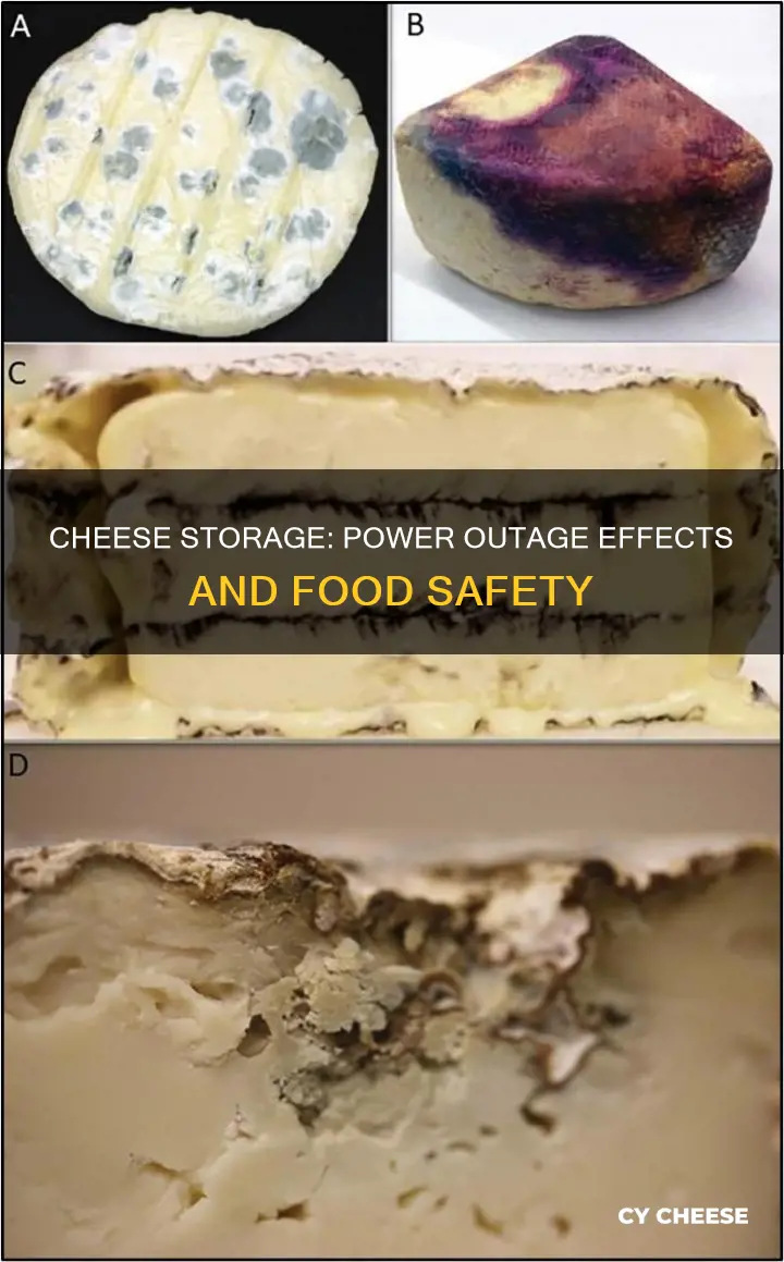 does cheese go bad if the power goes out