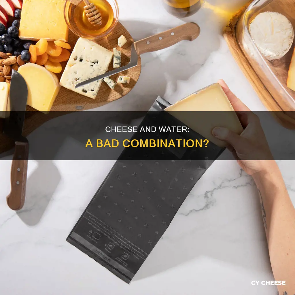 does cheese go bad if water is in the bag