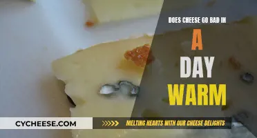 Cheese Storage: Warm Conditions and Shelf Life