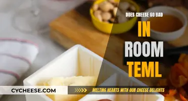 Cheese Storage: Does it Go Bad at Room Temperature?