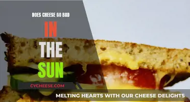 Cheese and Sun: A Bad Combination?