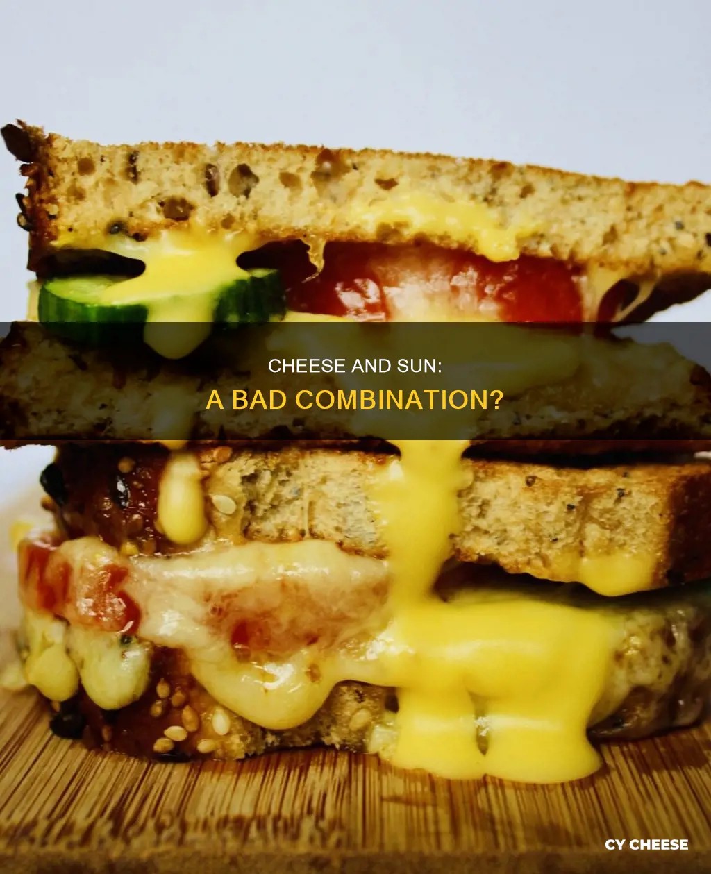 does cheese go bad in the sun