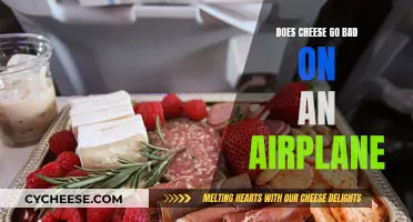 Cheese Storage: Airplane Travel Tips