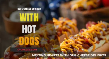 Cheese on Hot Dogs: A Match Made in Heaven or Not?
