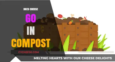 Can Cheese Be Composted? A Guide to Eco-Friendly Food Waste
