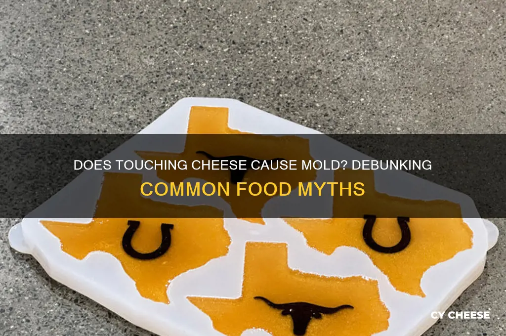 does cheese go mouldy if you touch it