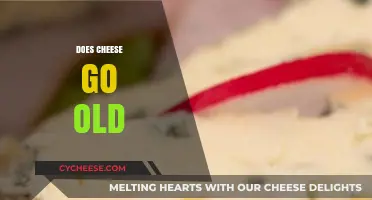 Does Cheese Go Old? Understanding Shelf Life and Signs of Spoilage