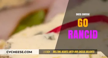 Does Cheese Go Rancid? Understanding Shelf Life and Spoilage Signs