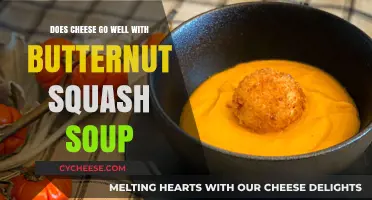 Cheese and Butternut Squash Soup: A Match Made in Heaven?