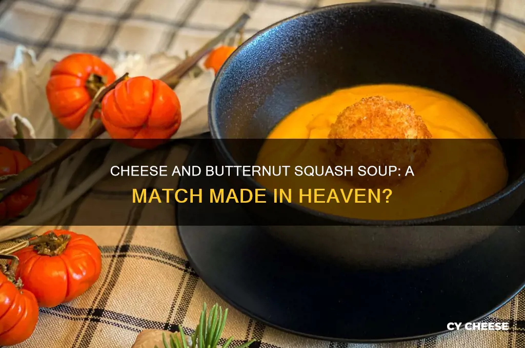 does cheese go well with butternut squash soup