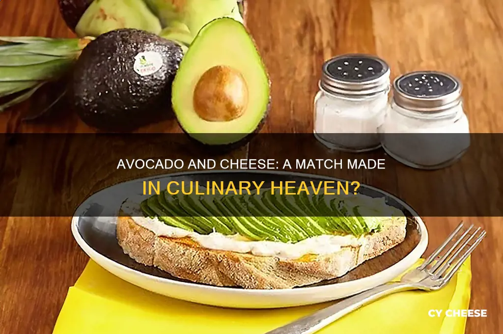 does cheese go with avocado