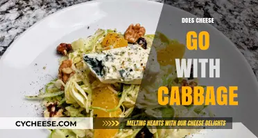 Cheese and Cabbage: A Surprising Pairing or Culinary Clash?
