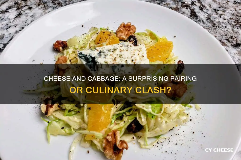 does cheese go with cabbage