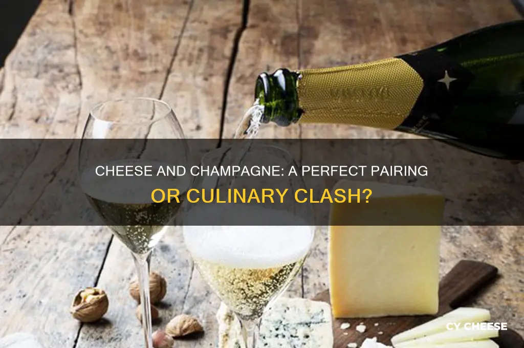 does cheese go with champagne