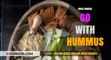 Cheese and Hummus: A Match Made in Heaven or Culinary Clash?
