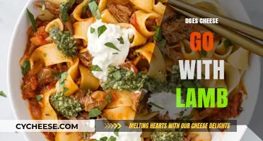 Does Cheese Complement Lamb? Exploring Flavor Pairings for Perfect Meals