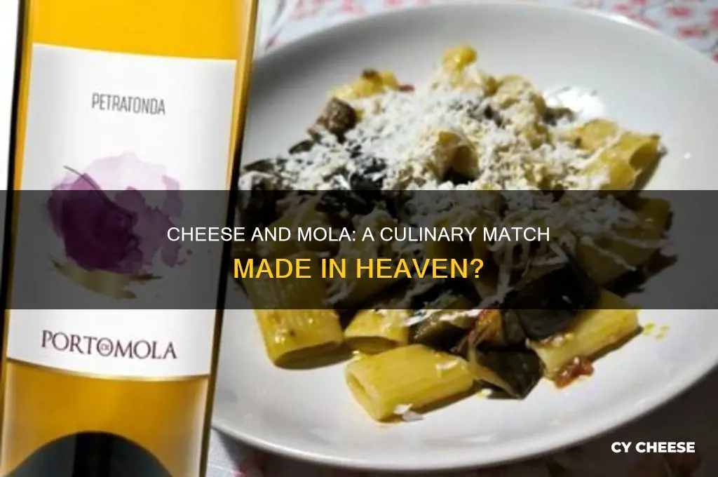 does cheese go with mola