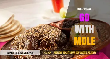 Cheese and Mole: A Match Made in Culinary Heaven?