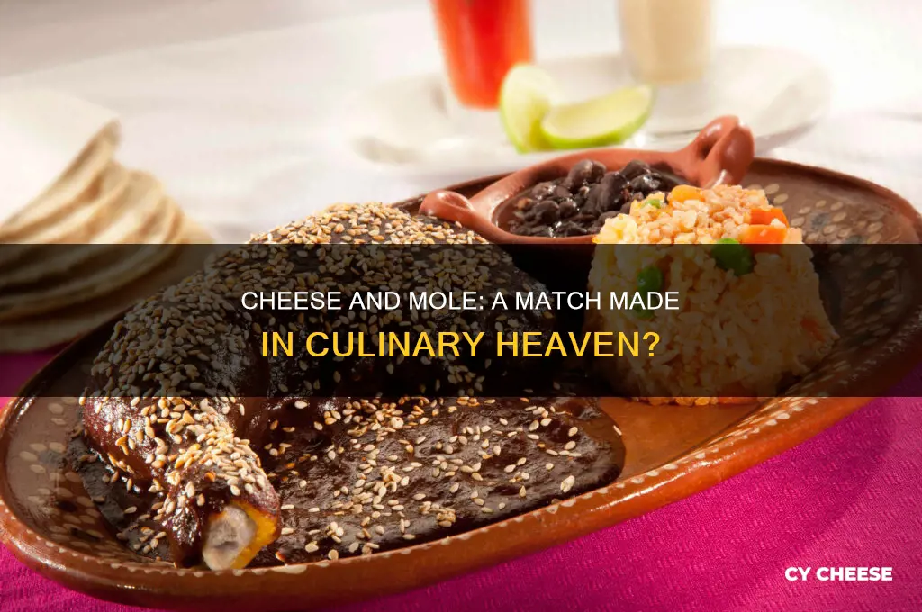 does cheese go with mole