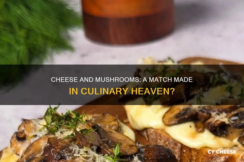 does cheese go with mushrooms