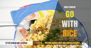 Cheese and Rice: A Match Made in Heaven or Culinary Clash?