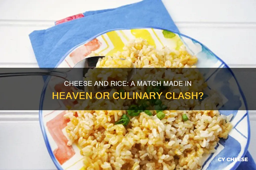 does cheese go with rice