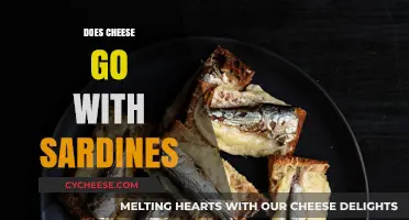 Cheese and Sardines: A Surprising Culinary Match or Miss?