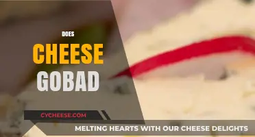 Does Cheese Go Bad? Shelf Life, Storage Tips, and Signs of Spoilage