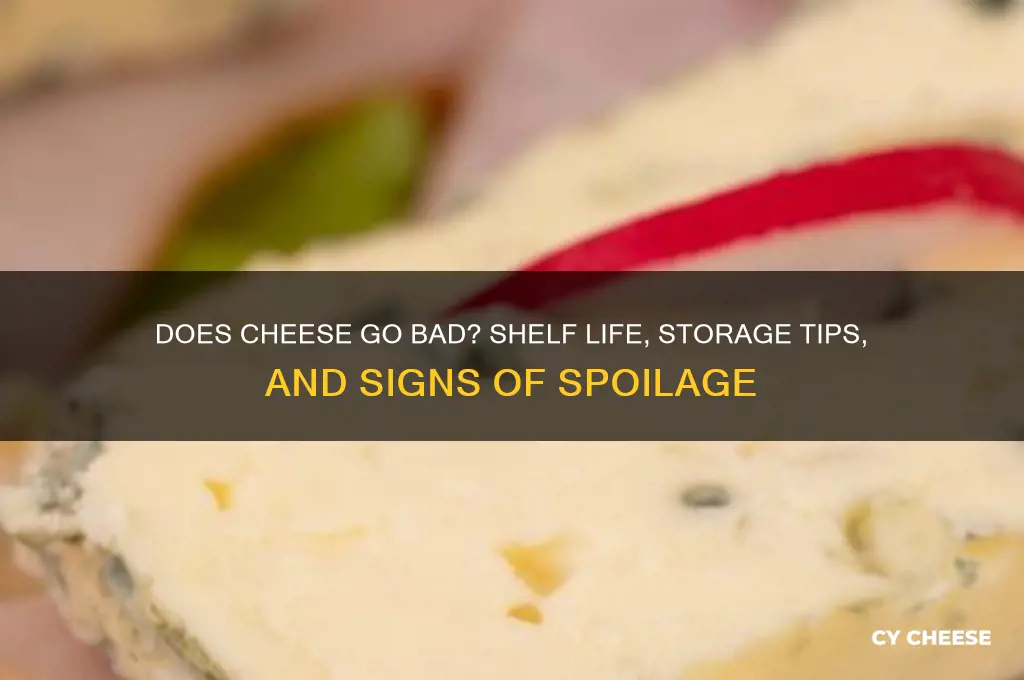 does cheese gobad