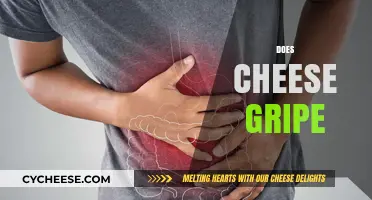 Does Cheese Cause Gripe? Unraveling the Dairy Discomfort Debate